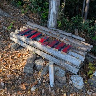 ここにちょっとピアノに見えるベンチあり
一旦急登終えて一休み出来ます
せっかくエンジンかかってる自分は
すすむべし