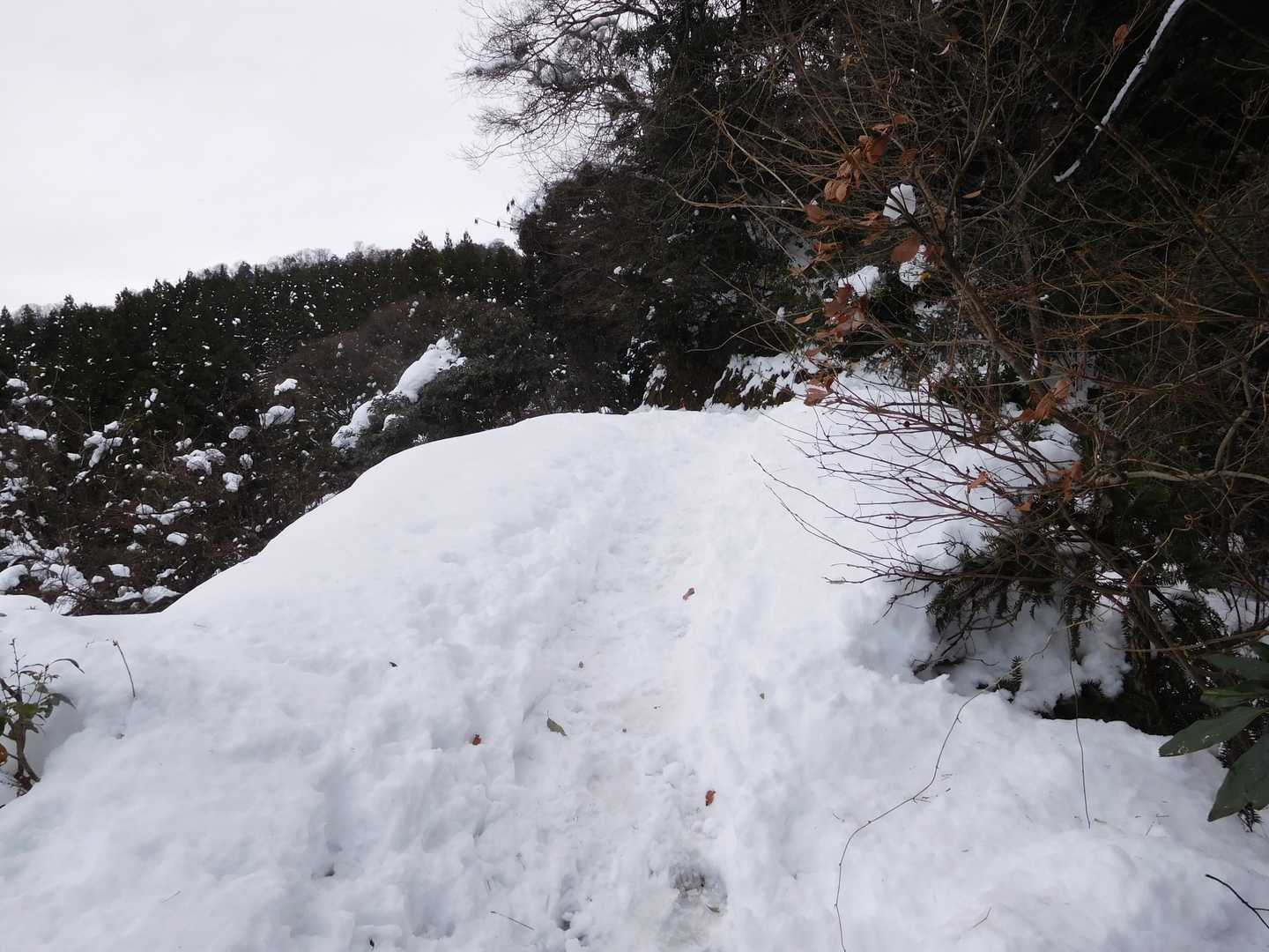 城ヶ平山大岩側登山口-城ヶ平山-峠山 往復コースの写真