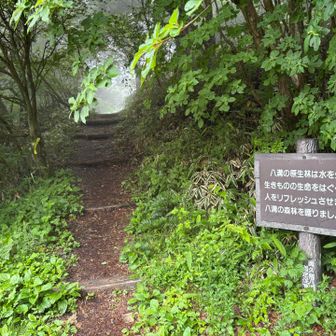 どこも雨予報で諦めてたところを、楽しくリフレッシュさせてくれた八溝山に感謝✨

今回、地図をダウンロードしないまま登ったけど、投稿時に「もっと詳しく」から地図エリアを選んだら、八溝山に登った記録が反映されてよかった