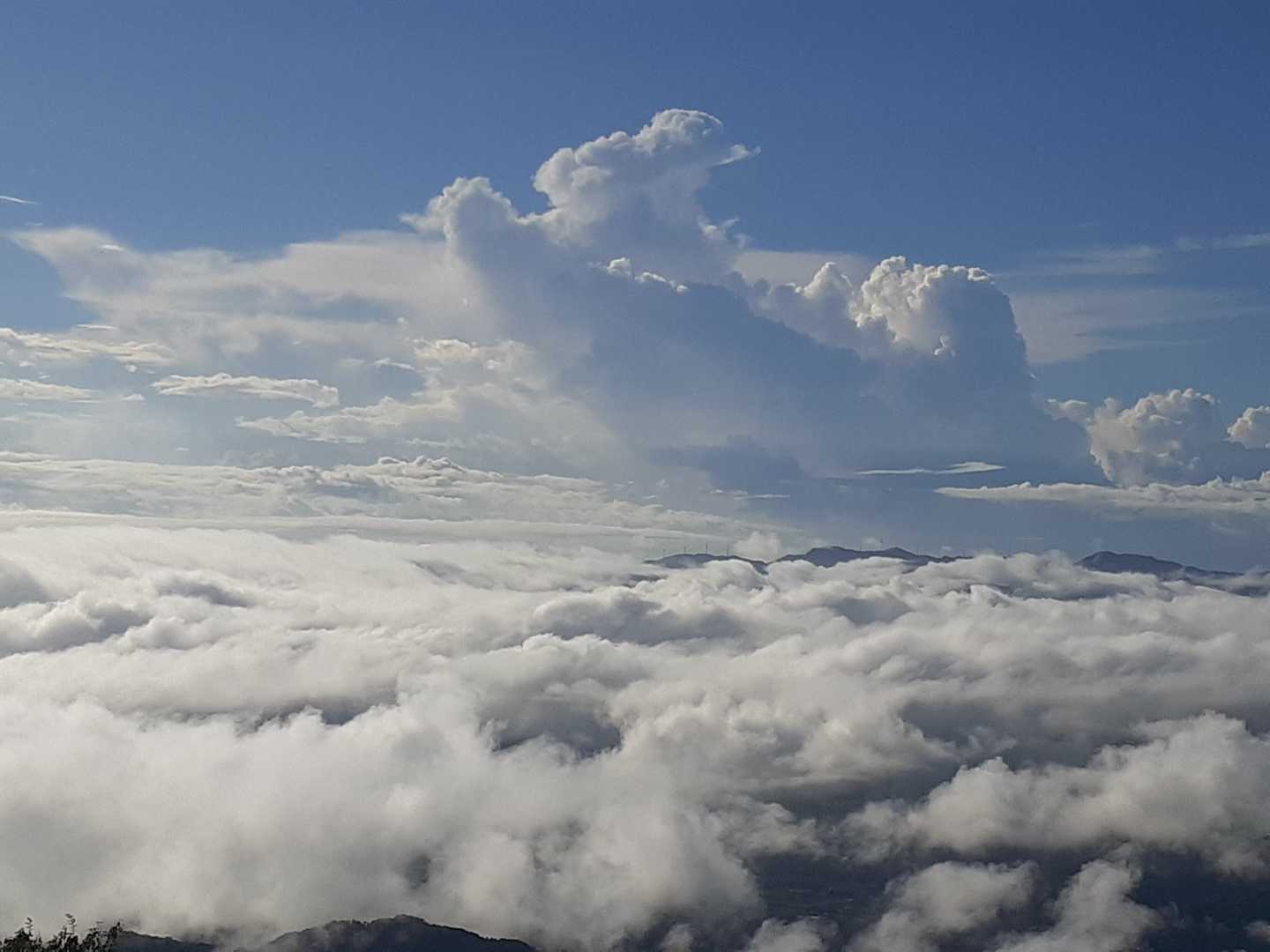最近、山頂からはガスガス真っ白な景色しか見てないので感動もひとしおです😍