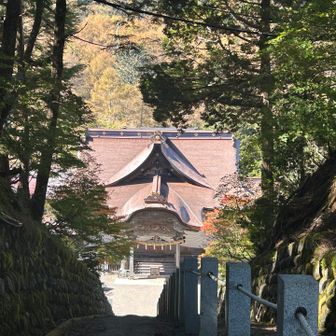 後で参拝しまーす⛩️武将面してる🤭