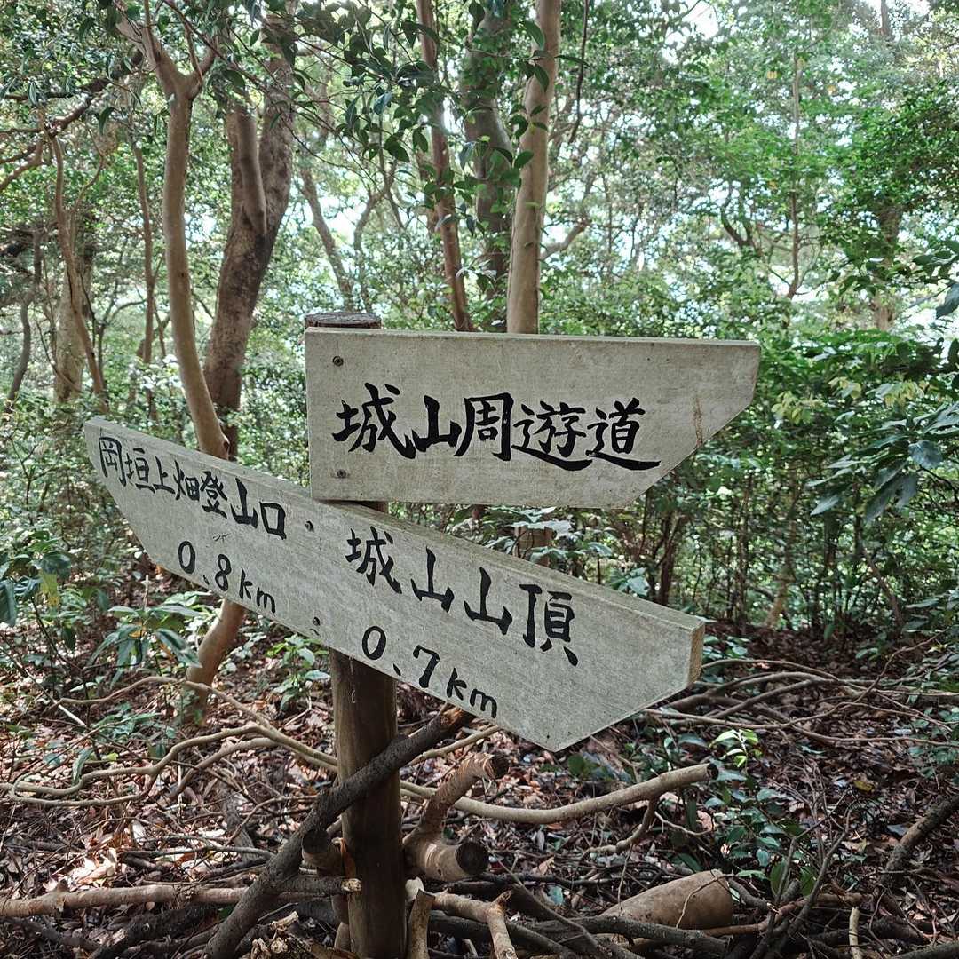 ココまで来たら、右手の周遊道へ🚶