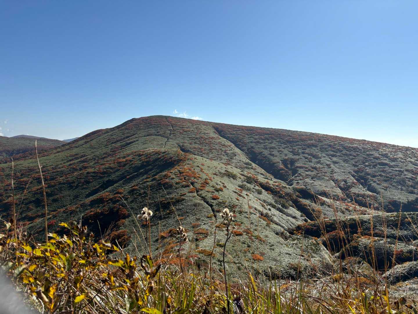 次は湯森山へ。下って、また登り返すよぉ