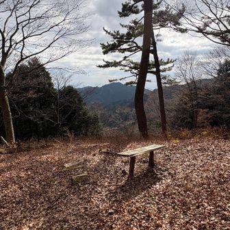 前はこのあたりに大きなベンチがあったはず…撤去されちゃった…