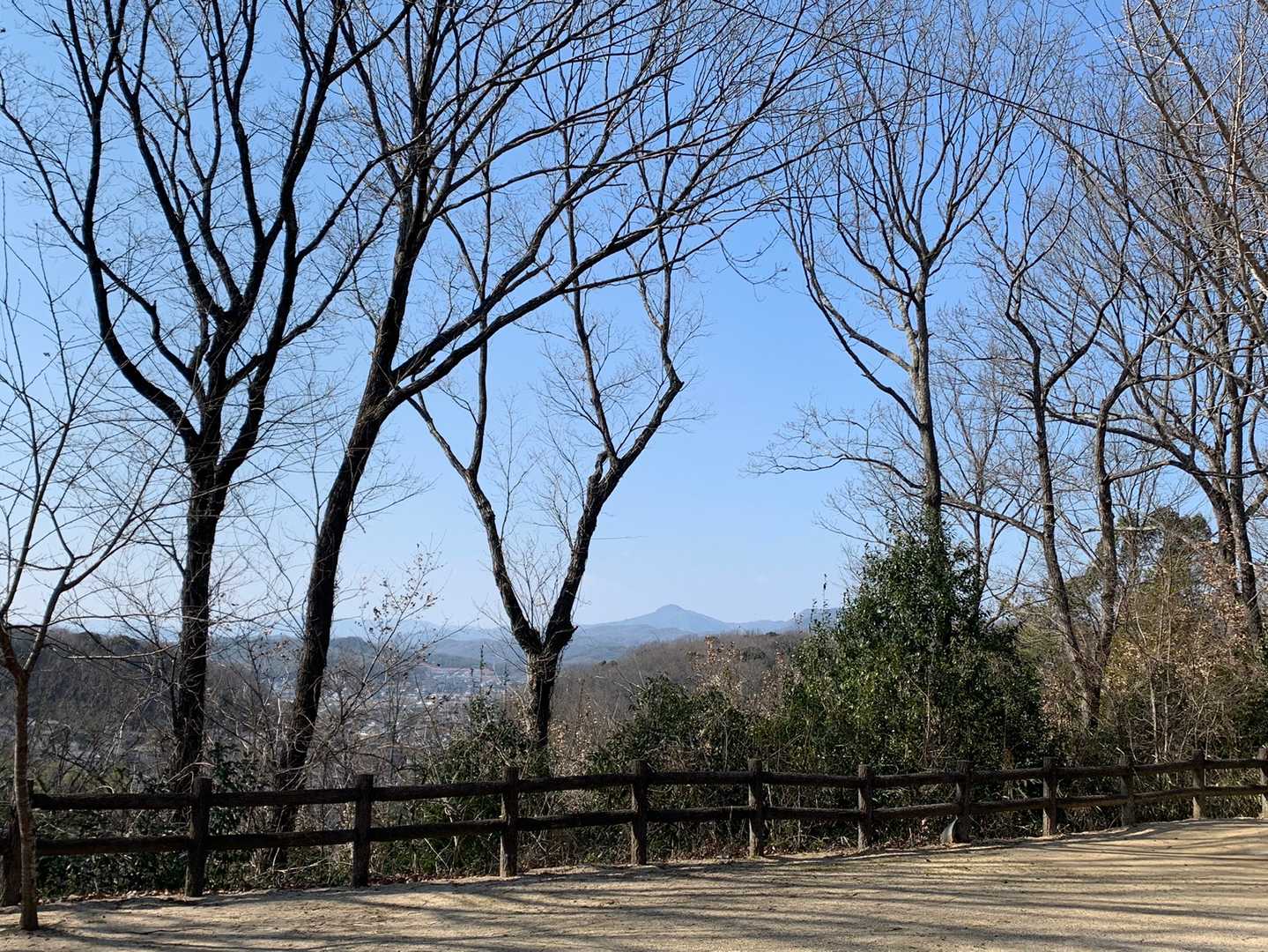 いつも美しい蛇円山♡