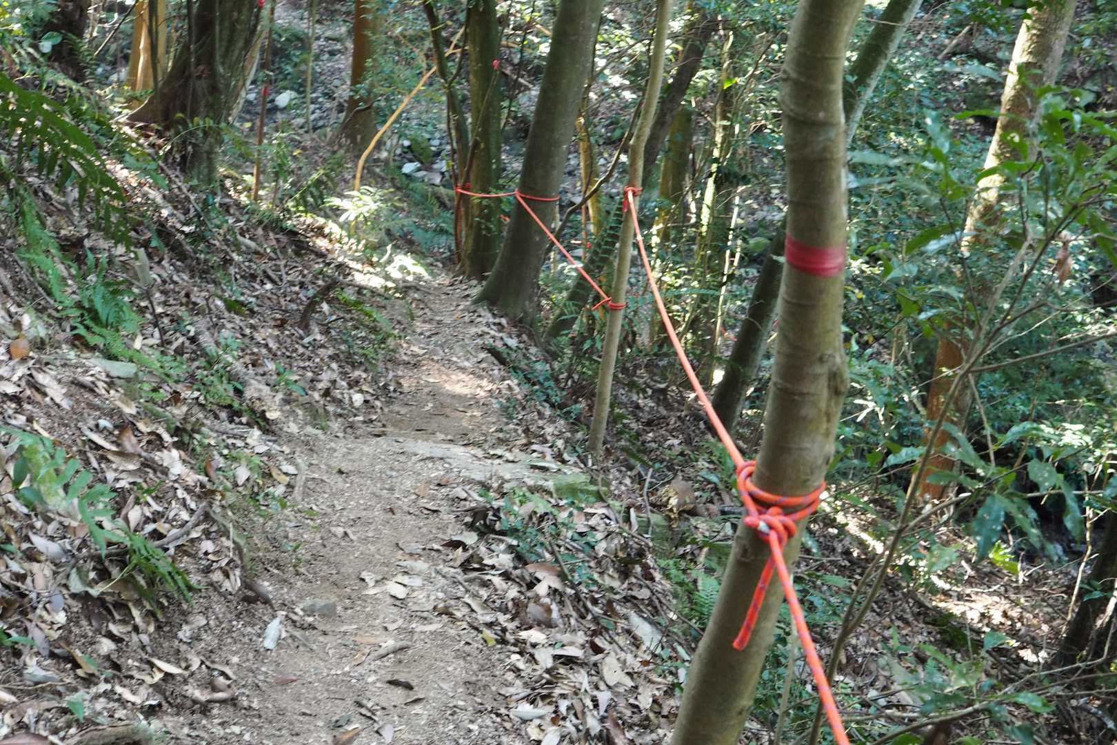 近道ルートで谷に下る