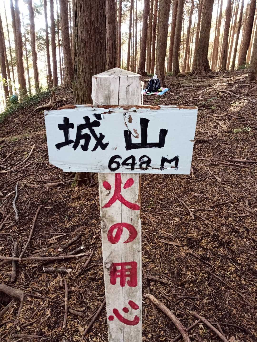 こんな人里離れていて
高いところに城って・・・
