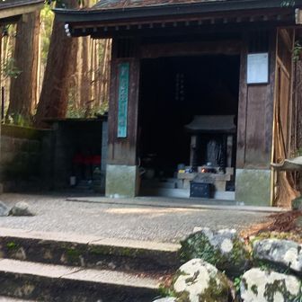 山走ってきたんか？元気いいな〜ってオジサンからオジサンにお言葉頂く。
霊水堂は混雑気味😄