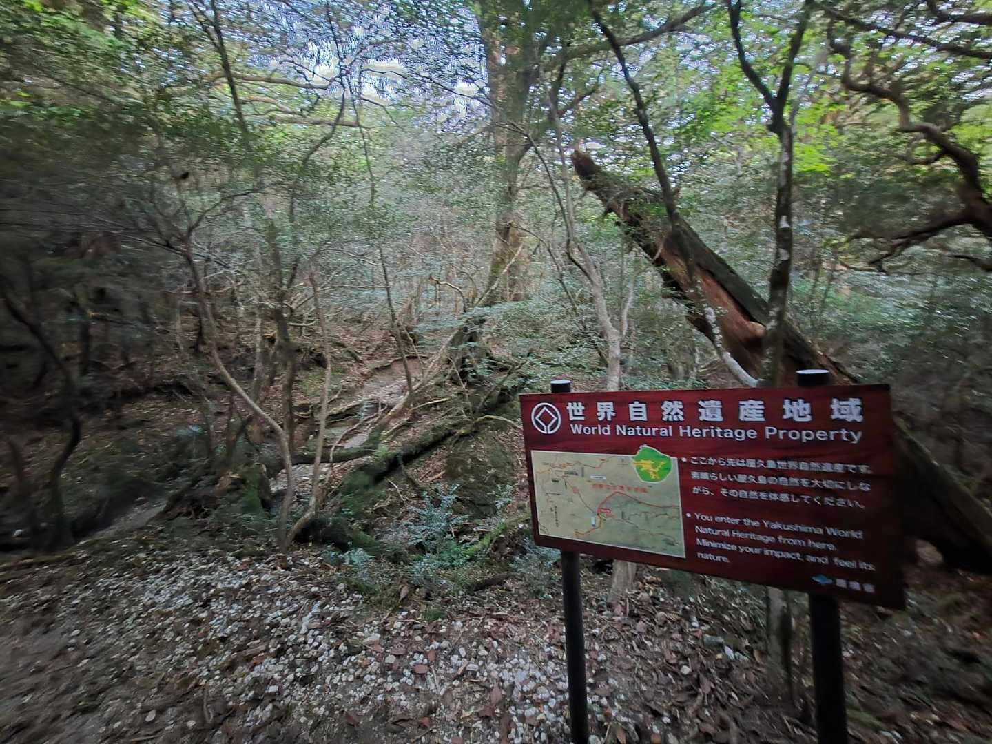 世界遺産の地域に入ってきました