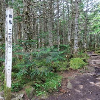 中山