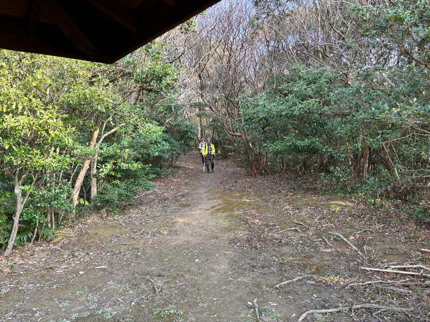 馬着山登り口-馬着山 往復コースの写真