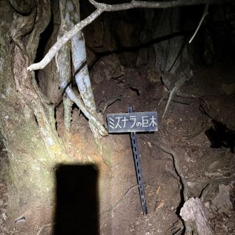 真っ暗でございます