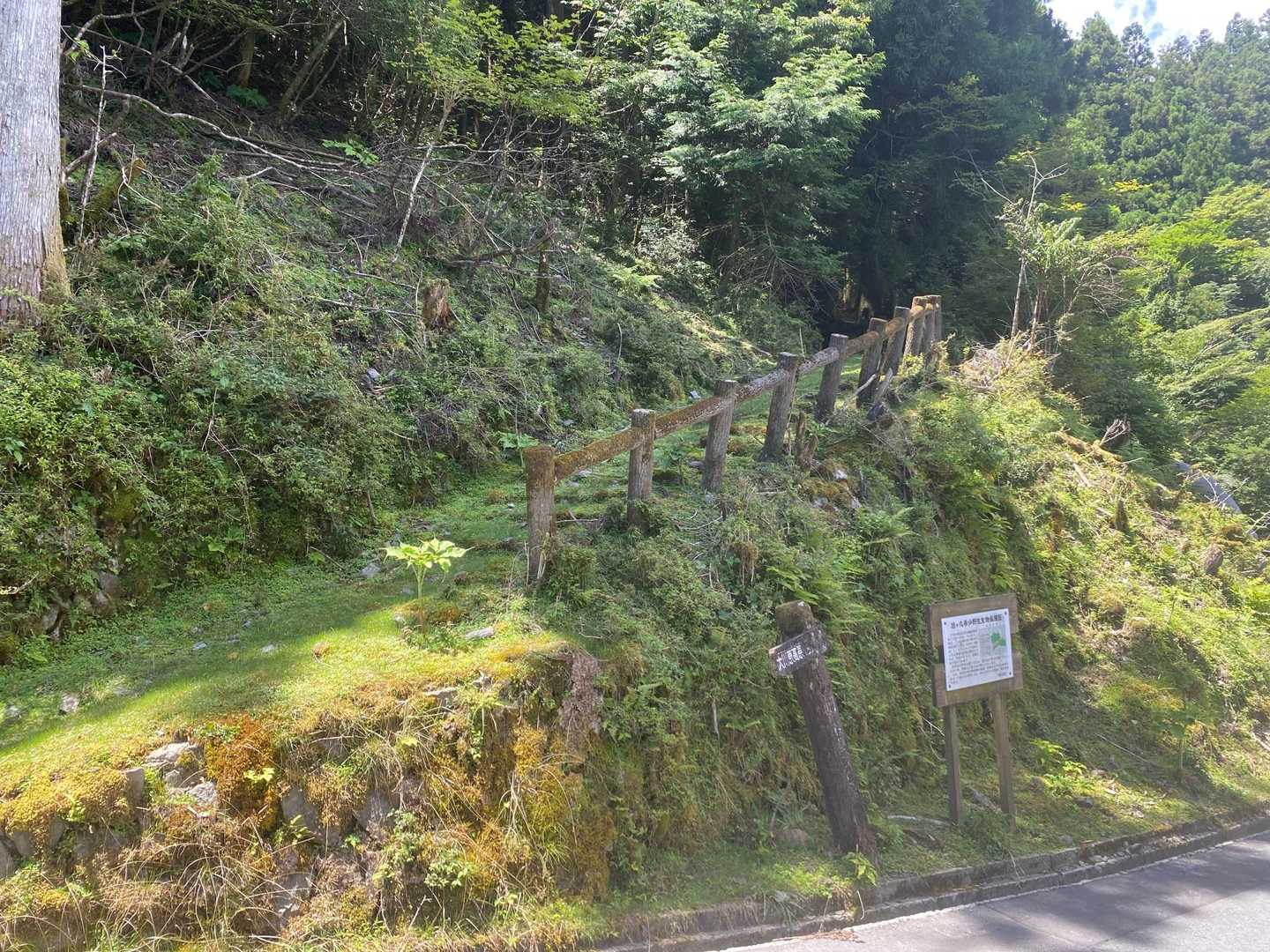 ここから「四国の道」を使って登り返して、