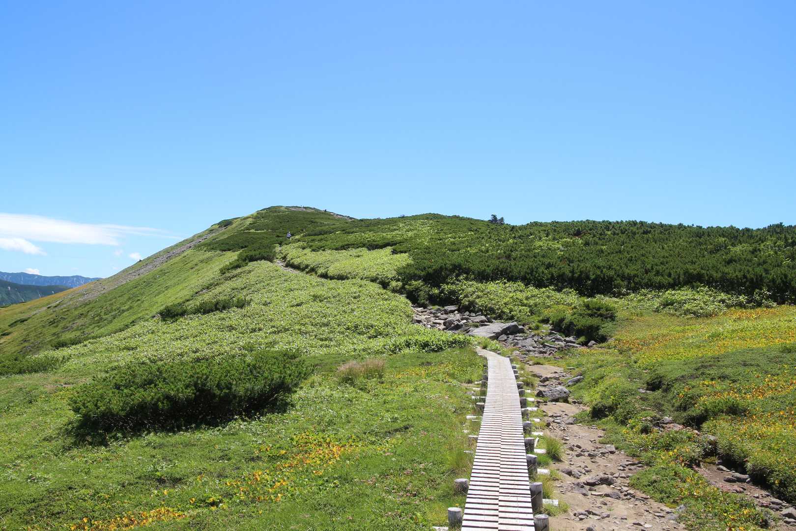 薬師岳登山口-五光岩ベンチ-北ノ俣岳 往復コースの写真