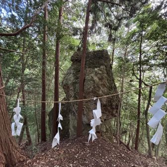 こちらの道にミヤマウズラさんいるはずなのに見つからない😓

だいだら坊の岩。
ちょっと暗くて人気もなく、ホントにだいだら坊が現れそう😨
