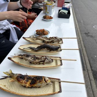 岩魚、子持ち鮎、鯖すし
