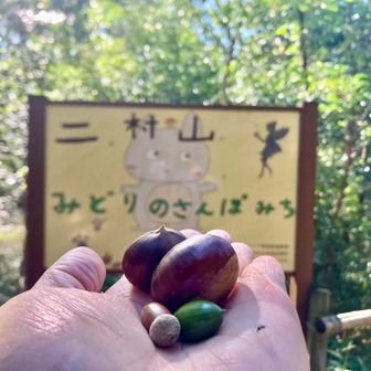 少し園地内を散歩。栗やドングリが落ちてて楽しいですね^_^
あ、写真良く見たら、手のひら(右の方)蚊に刺されてる！いま気付いた〜。