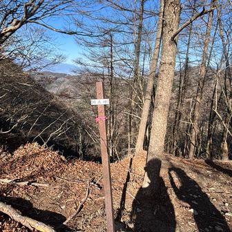 ちっちゃい看板の精進峠到着！

この山行で精進は湖だけでなく、山も峠もあることを知る🧐