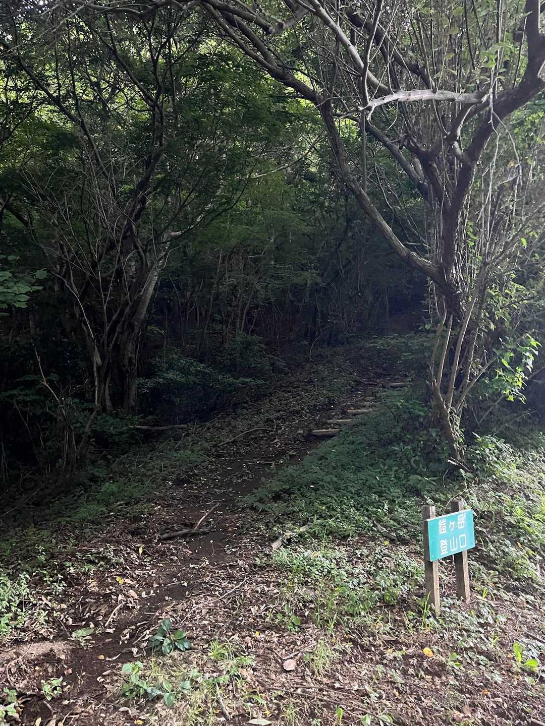 おばけでるで