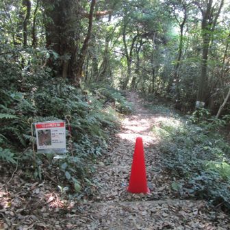 ここを通りたかったけど、危険との事で中海展望所側へ