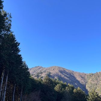 見晴台から大山山頂を眺めて