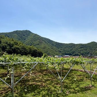 ロード歩きから歩いた稜線を眺めて