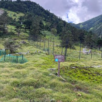 下山してきました
