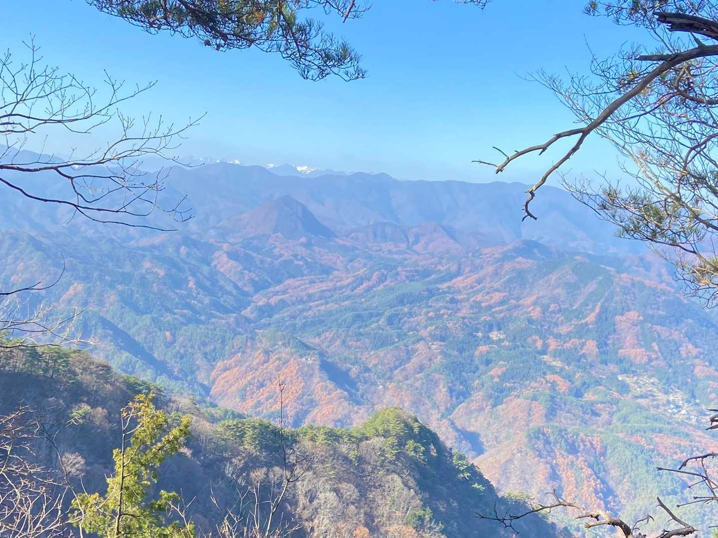 独鈷山 往復コースの写真