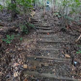 雄岳からのくだりなのに、
わずかですが、登ったり下ったりがあり…
このルート、滑りやすいし辛かったです。
ズボンがドロドロ😰