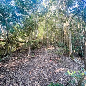 滑り易そうなところには、ロープも設置されています。