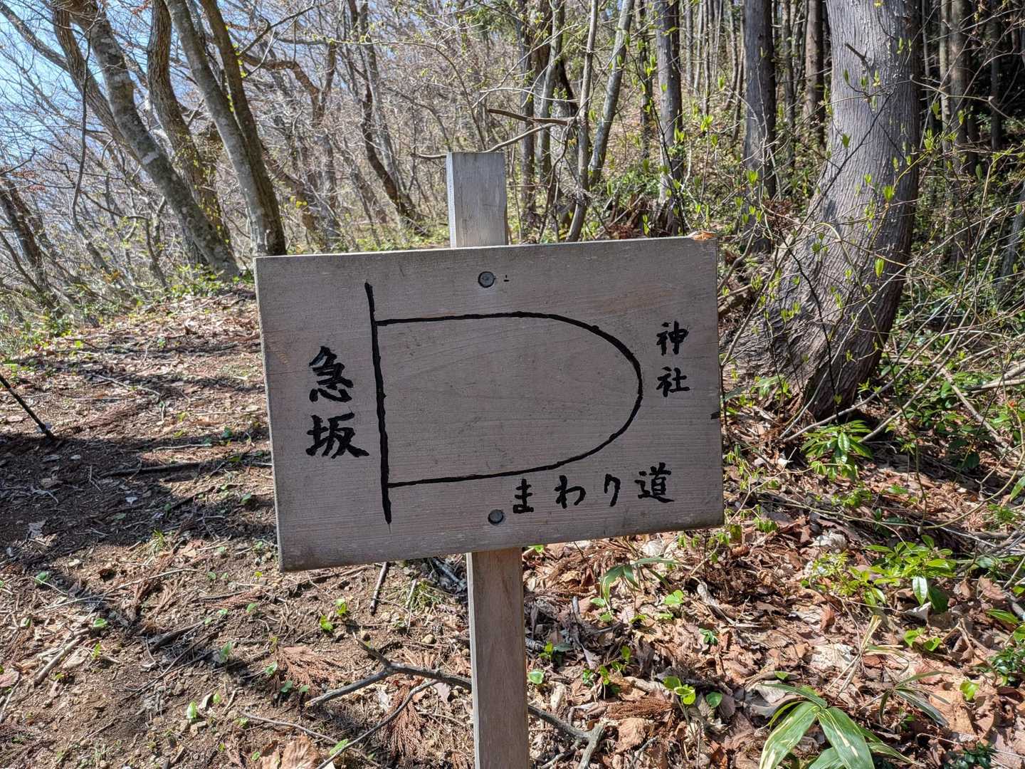 登りは、まわり道💨下山は急坂を歩きました😅