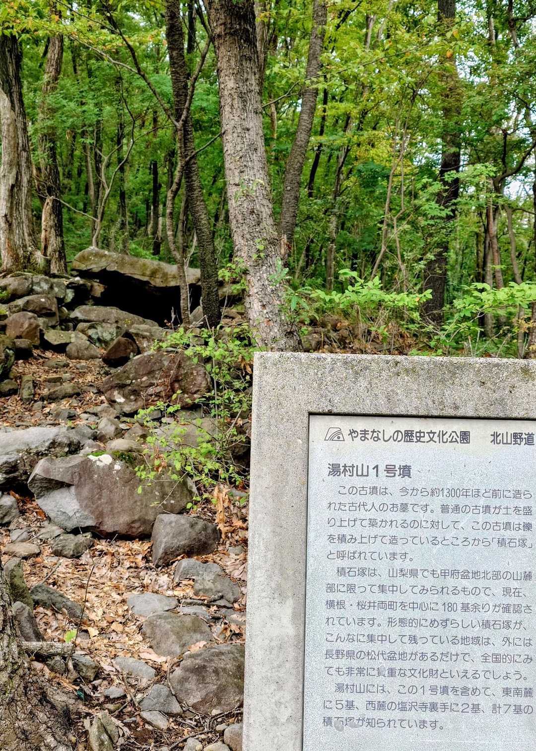 湯村山登山口-法泉寺山-八王子山-天狗山-天狗山登山口-塩 周回コースの写真