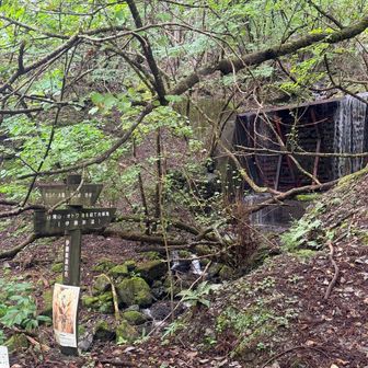 ここから山道に入ります