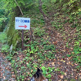 ここから登っていきます