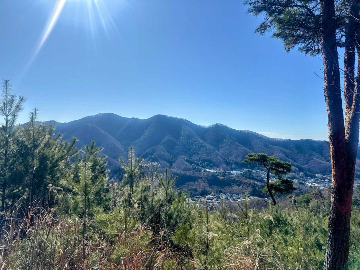 鳴神山への縦走路😊