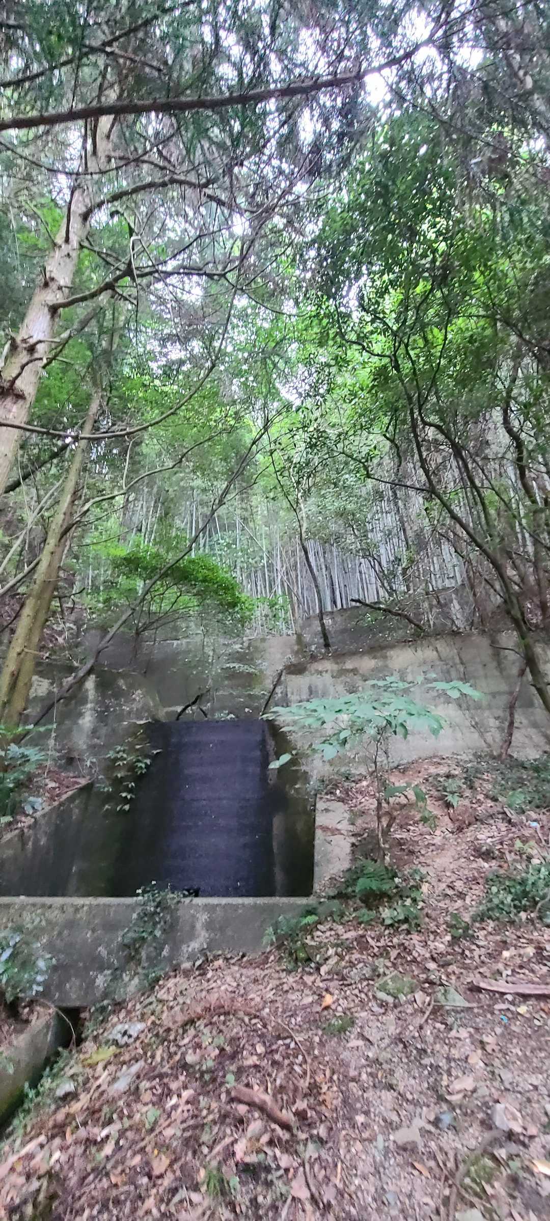 何んてダムでしたかね❔🤔