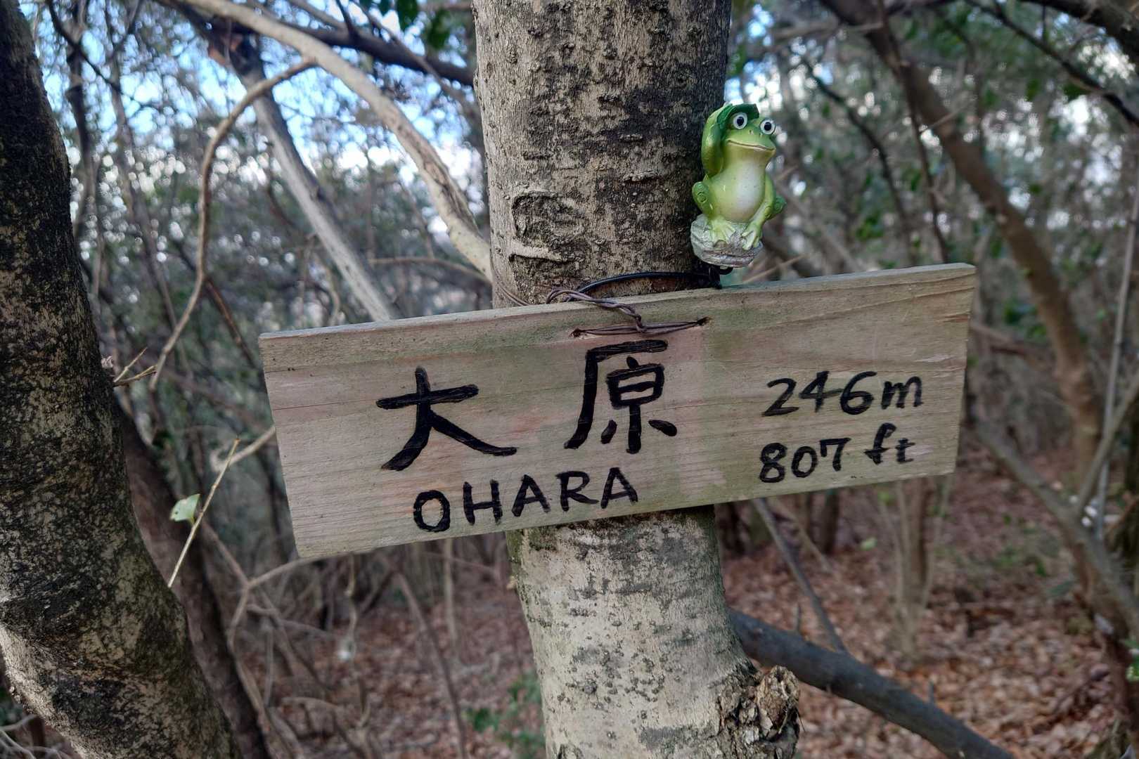 大原とうちゃこ▲