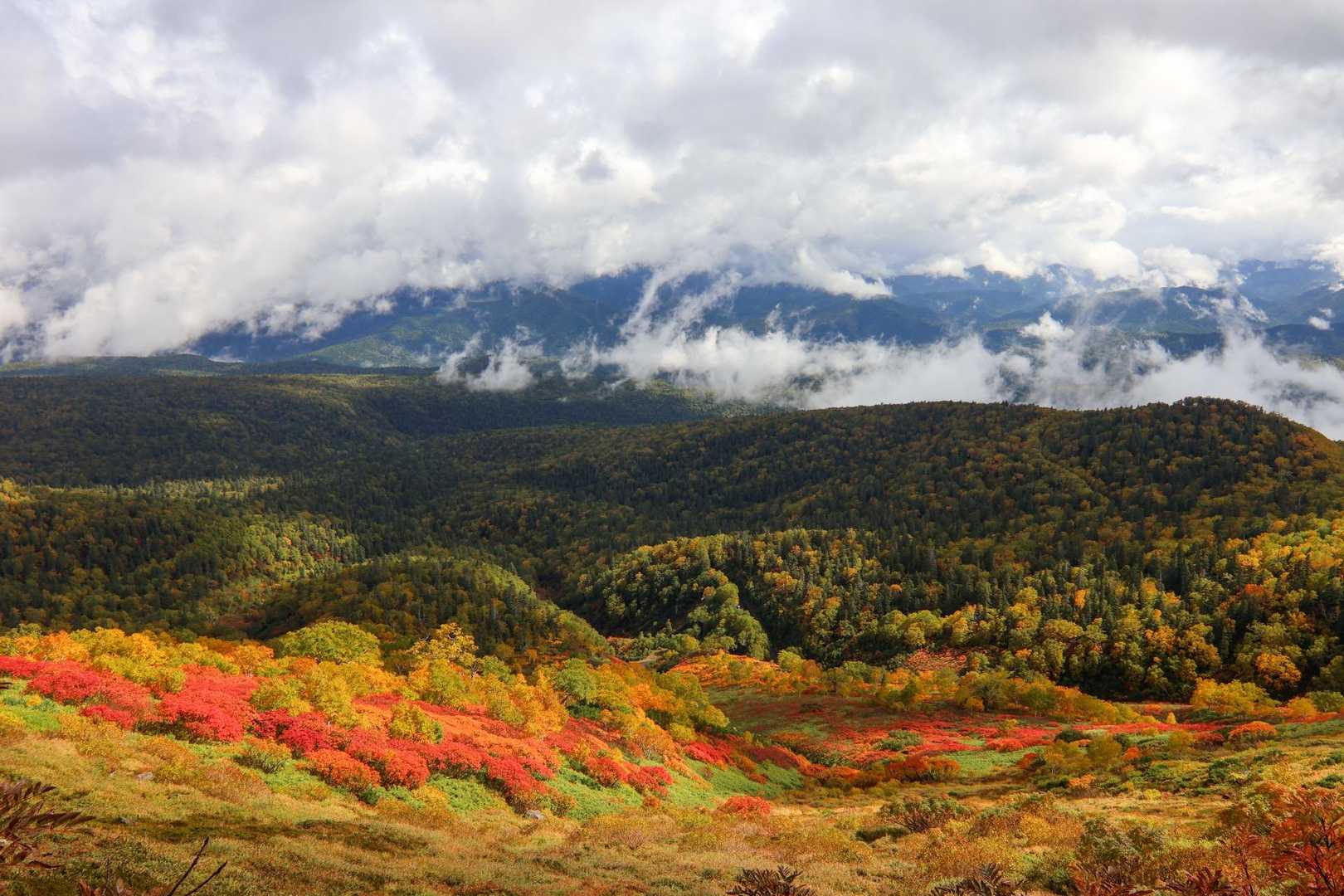 赤岳登山口-第一花園-赤岳 往復コースの写真