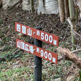 四国山の山頂は知らずに通り過ぎてすぐ下山