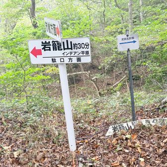 分岐に戻る。