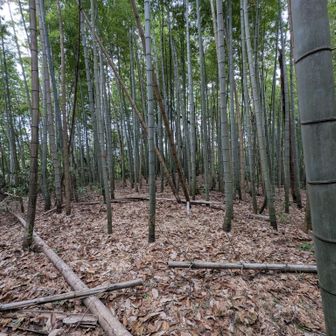 矢立山頂上到着です😊。