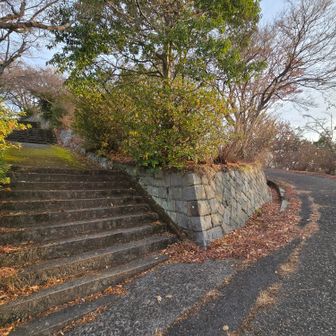 近道を行くか🚶
左の階段を上がる。