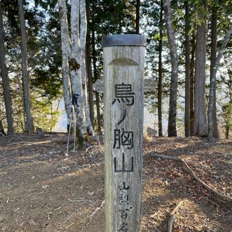 クリスマス前にフライドチキンを食べようと思って調べてたお山🍗
