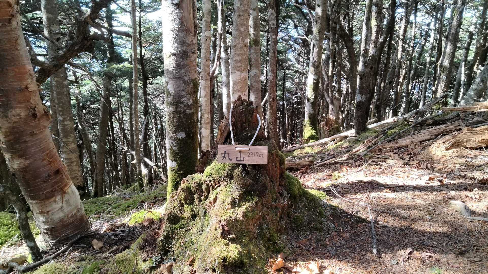 丸山（2,256㍍）
2名の女性の方が写真撮ってたので気付いたけど、人がいなかったら、そのままスルーしてましたね。