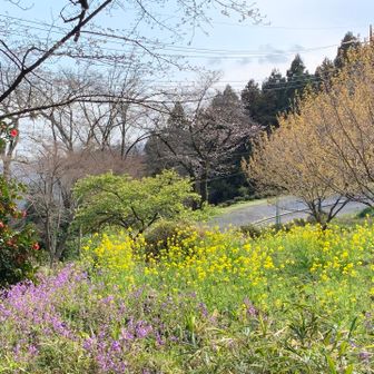 桃源郷のようです