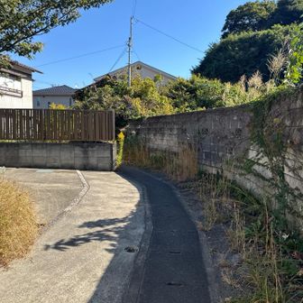 バス停の裏から。

入っていいか心配になる……。
