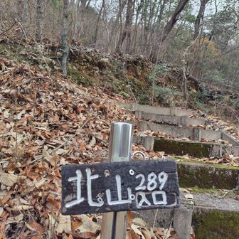 ファイトーイッパーツ！　行きましょう💪