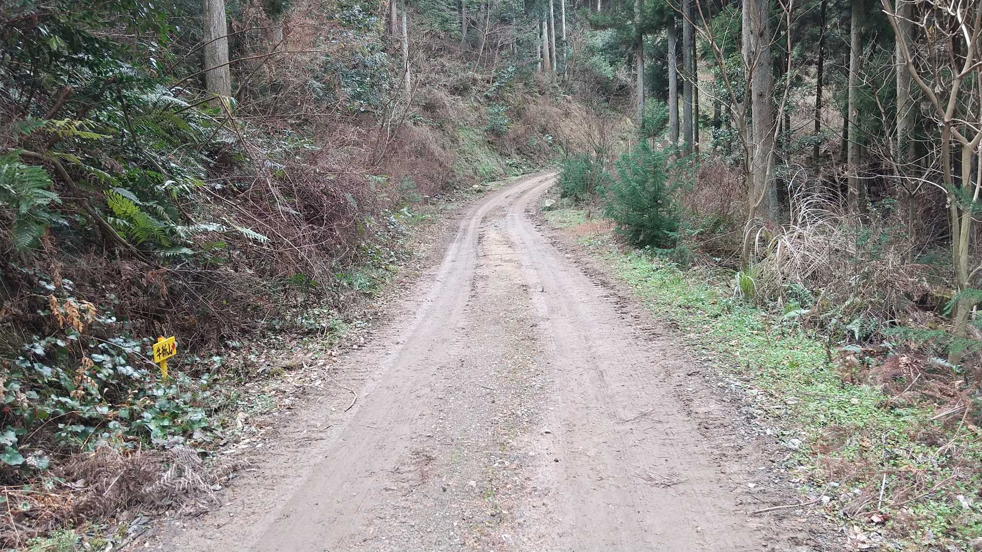作業道から・・・