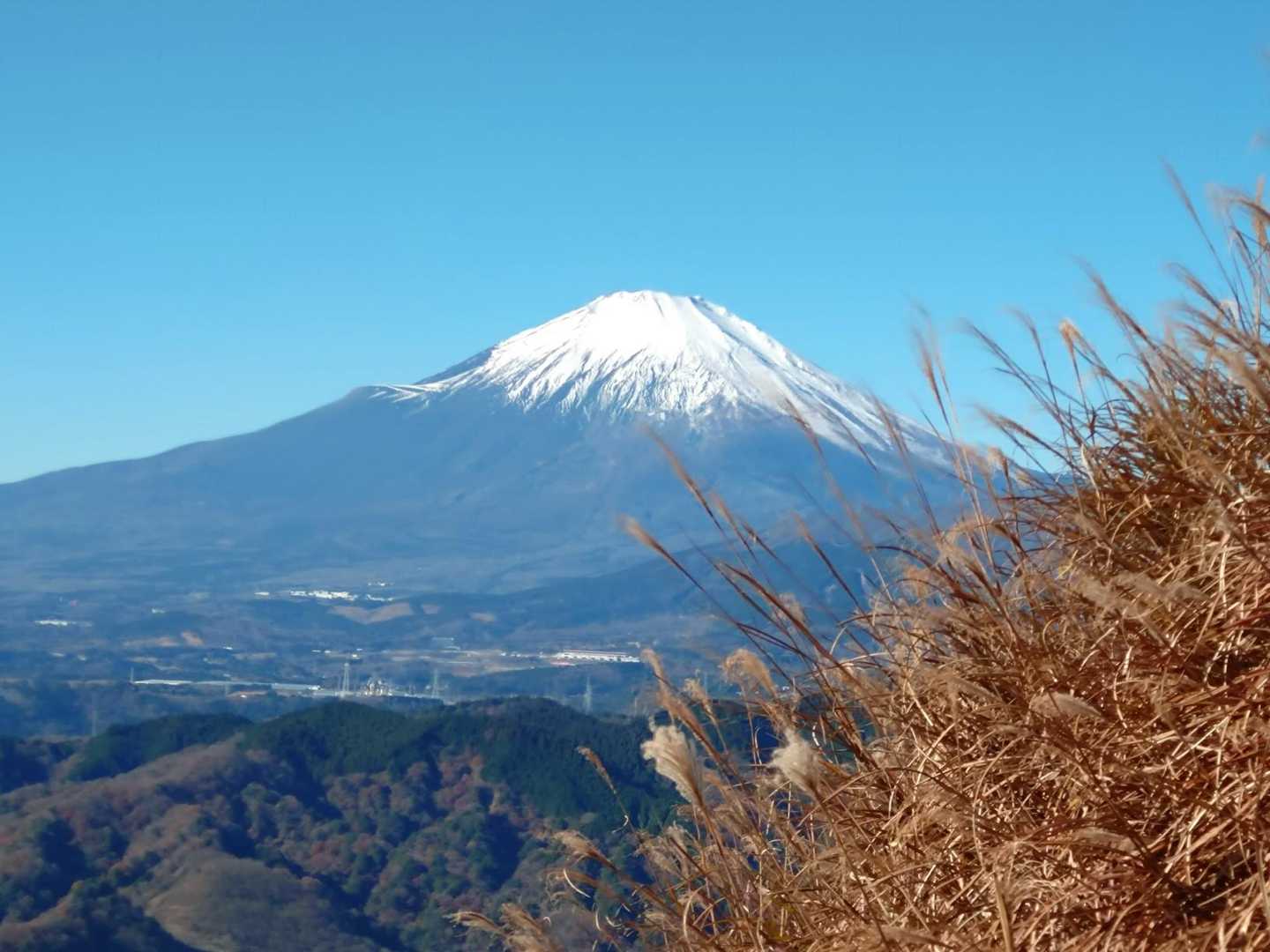 標高が上がってくると裾野までみえてきました。