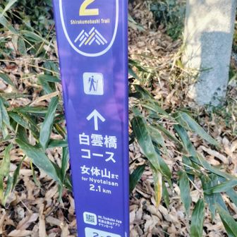 下山しました🙂